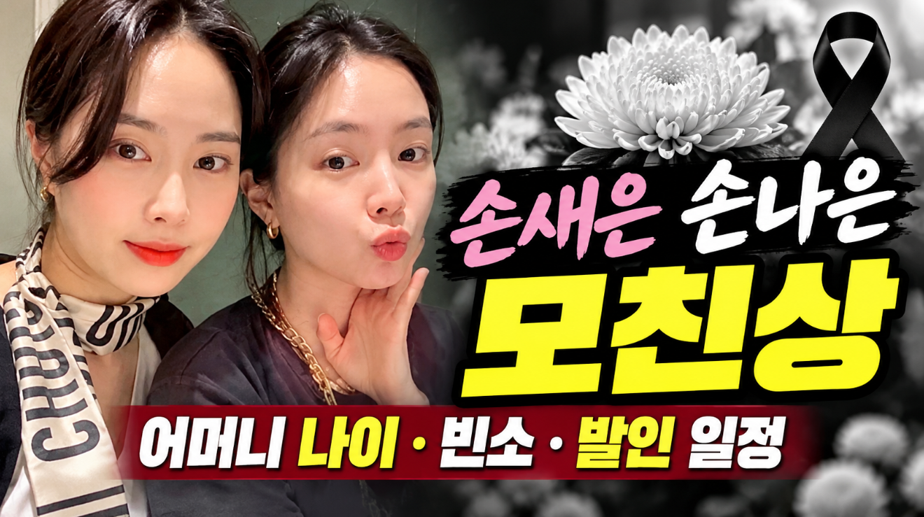 손새은 모친상｜언니 손나은&middot;어머니 나이