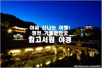 영천 가볼만한곳 맛집 카페 추천 여름 사진 명소_9