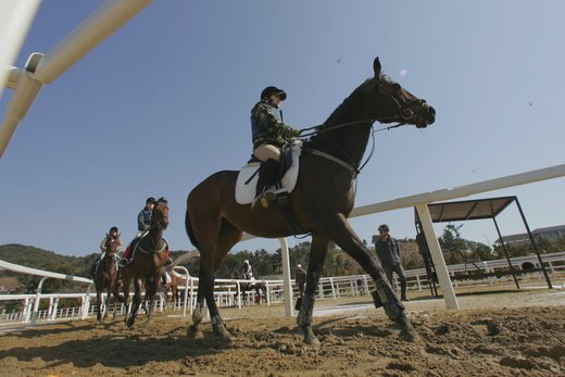 궁평 캠프 승마장