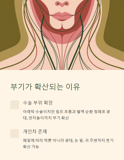 부기가 확산되는 이유