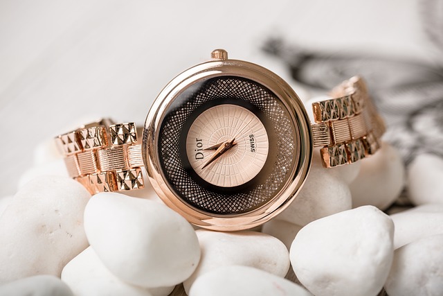 크리스티안 디올의 혁신적 비전