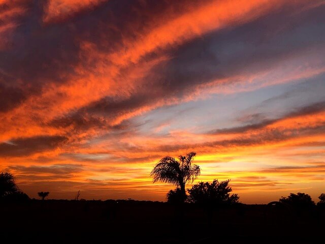 퇴사 후 인간관계가 멀어졌다고 느껴질 때