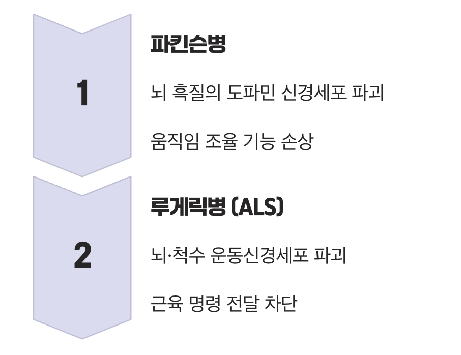 병이 시작되는 곳이 달라요