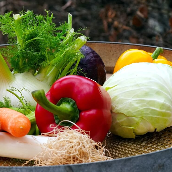 면역력 높이는 영양제 사진 7