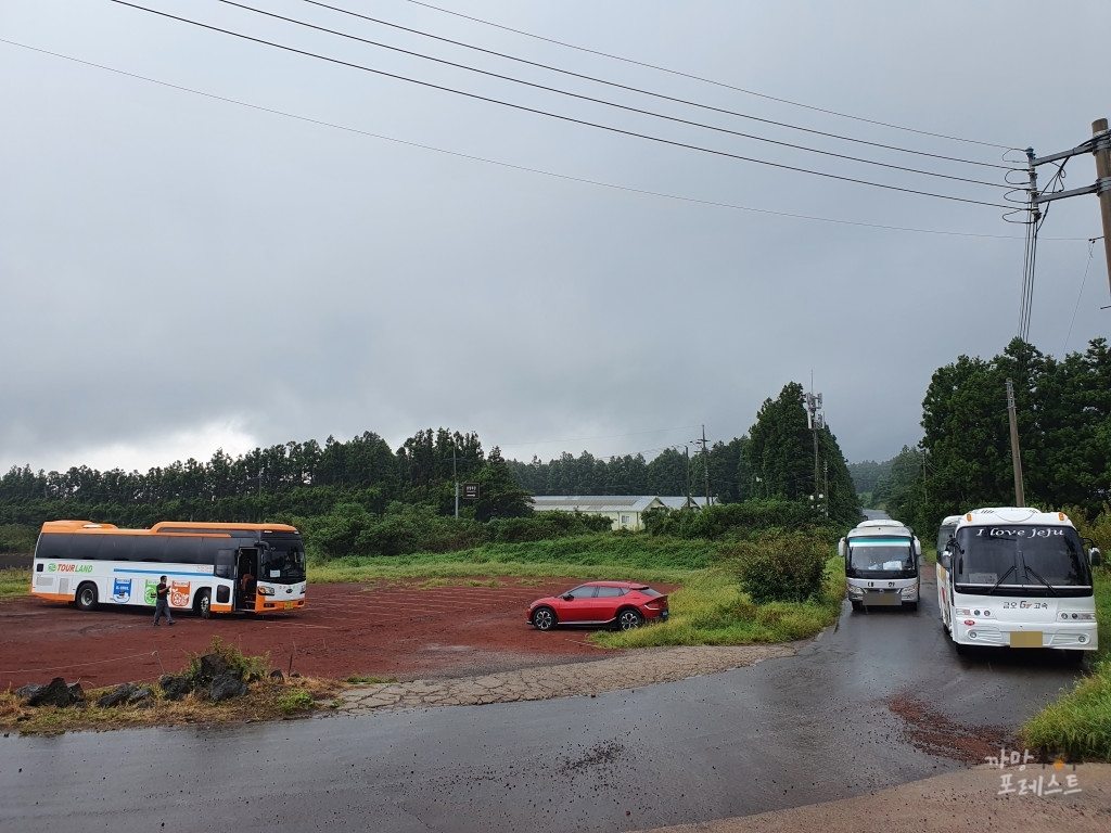 표선 보롬왓 주차장