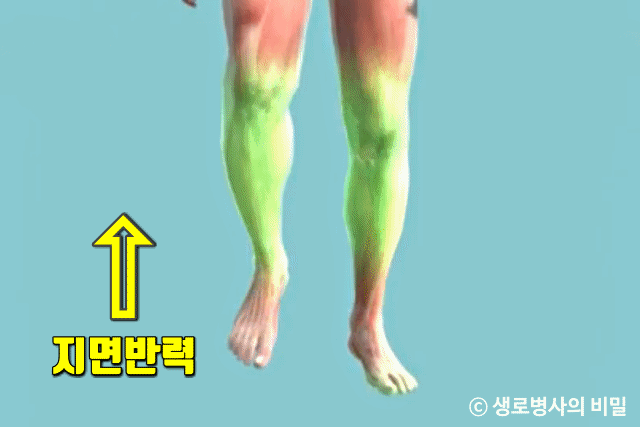 허리통증, 생로병사의 비밀, 보폭 10cm 더 넓혀 걷기 운동 효과, 건강, 팁줌마 매일꿀정보