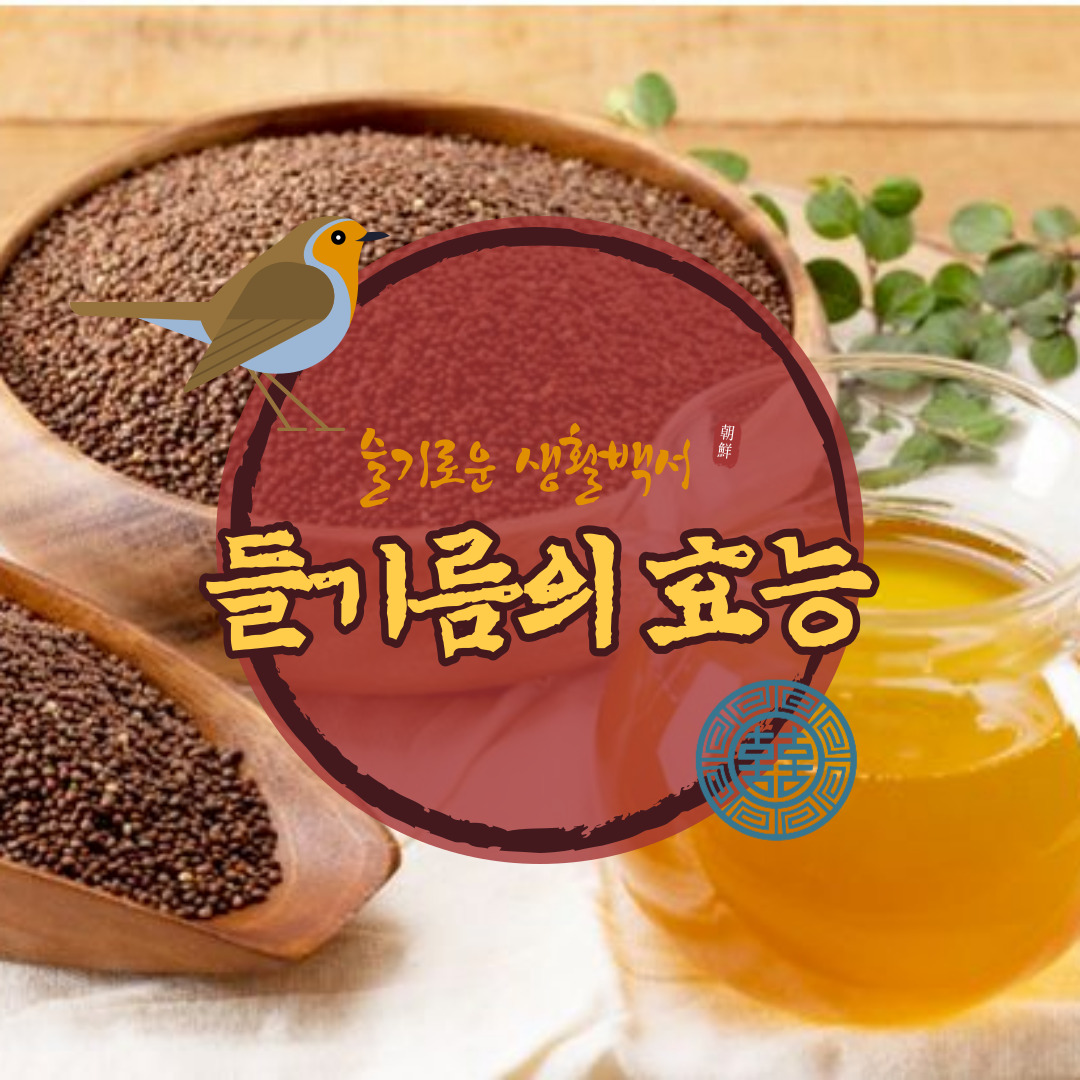 들기름 효능