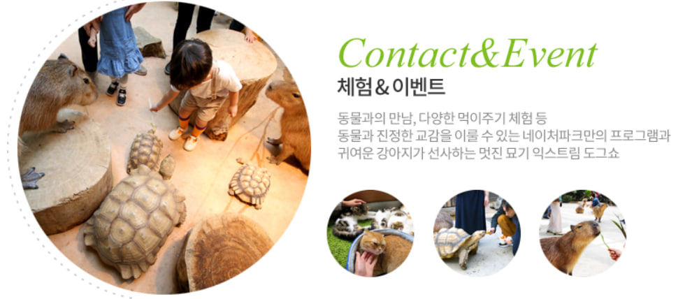 전국 벚꽃 봄꽃 축제 추천 Best 5