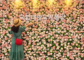 무주 디지털 관광주민증 혜택 사용법 발급 방법_18