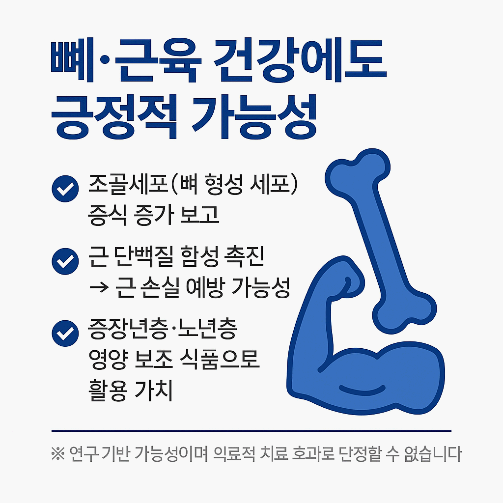 흑염소 효능