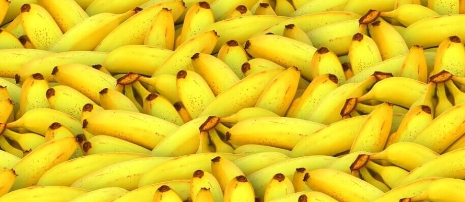 바나나 효능 TOP 5, 바나나껍질은 분리수거를 해야할까?