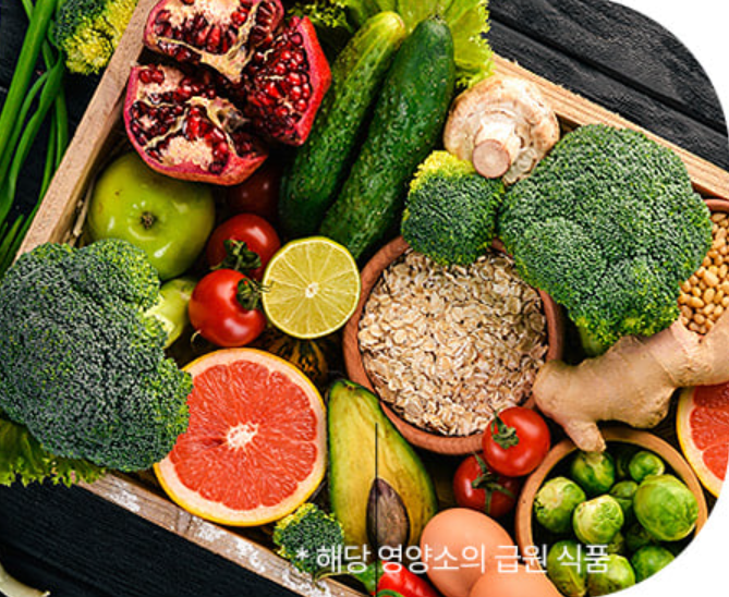 콜레올로지컷 빨간통 다이어트 효과