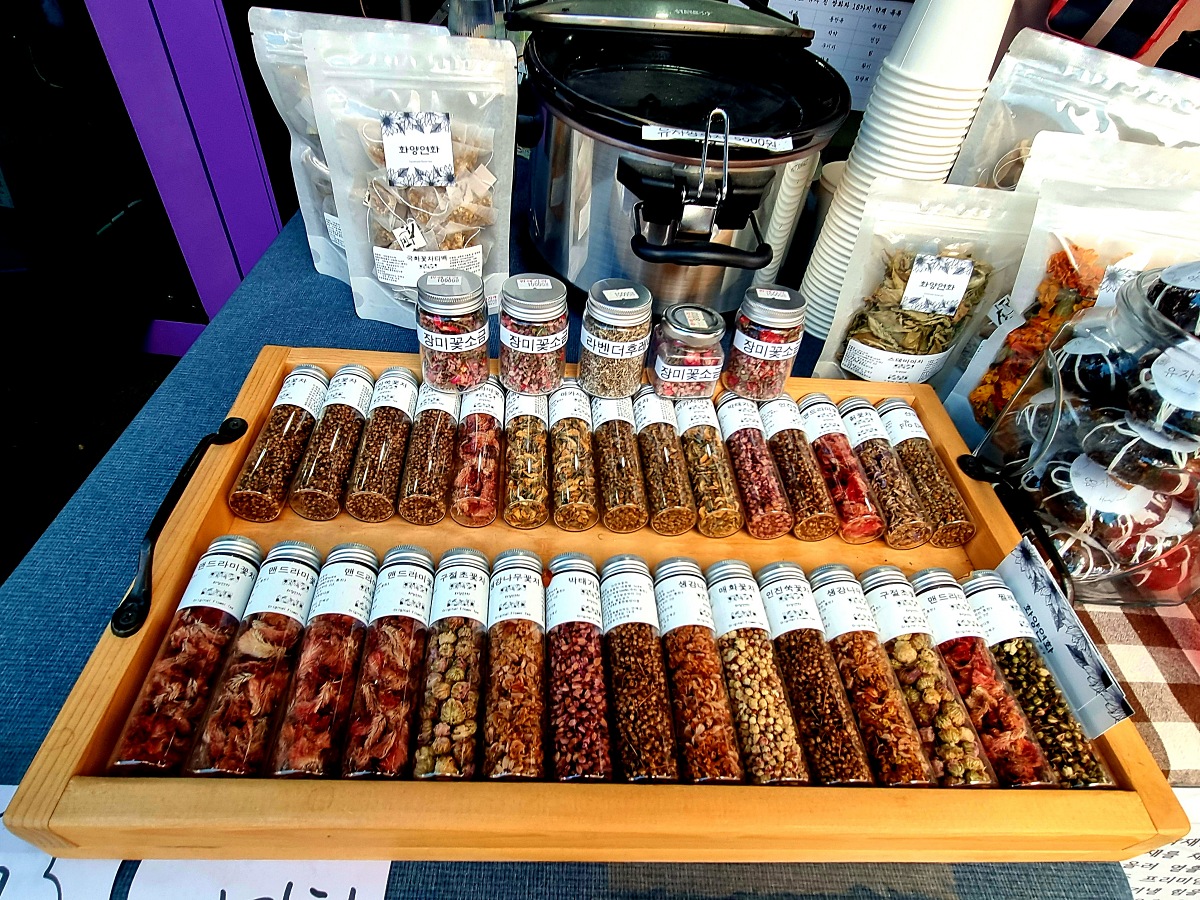 다시 찾아간 2024 인제 가을꽃축제: 국화, 야생화, 수변산책로, 숲 속 꽃길의 매력