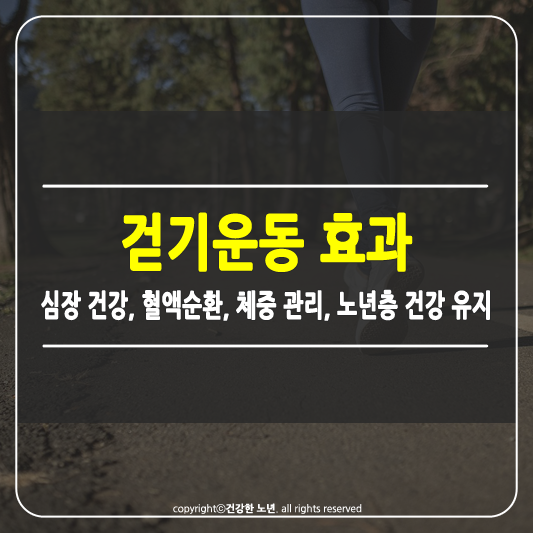 걷기운동 효과 썸네일