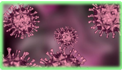 몸 속의 발암 물질 제거해주는 내용 알아보기