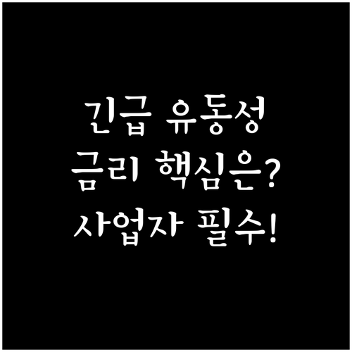 유동성 확보 사업자 마이너스통장 금리..