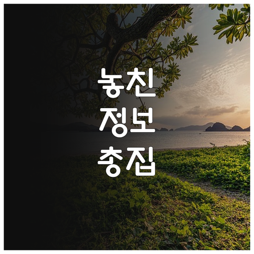 누가 2025 외식기업 해외진출 지원..