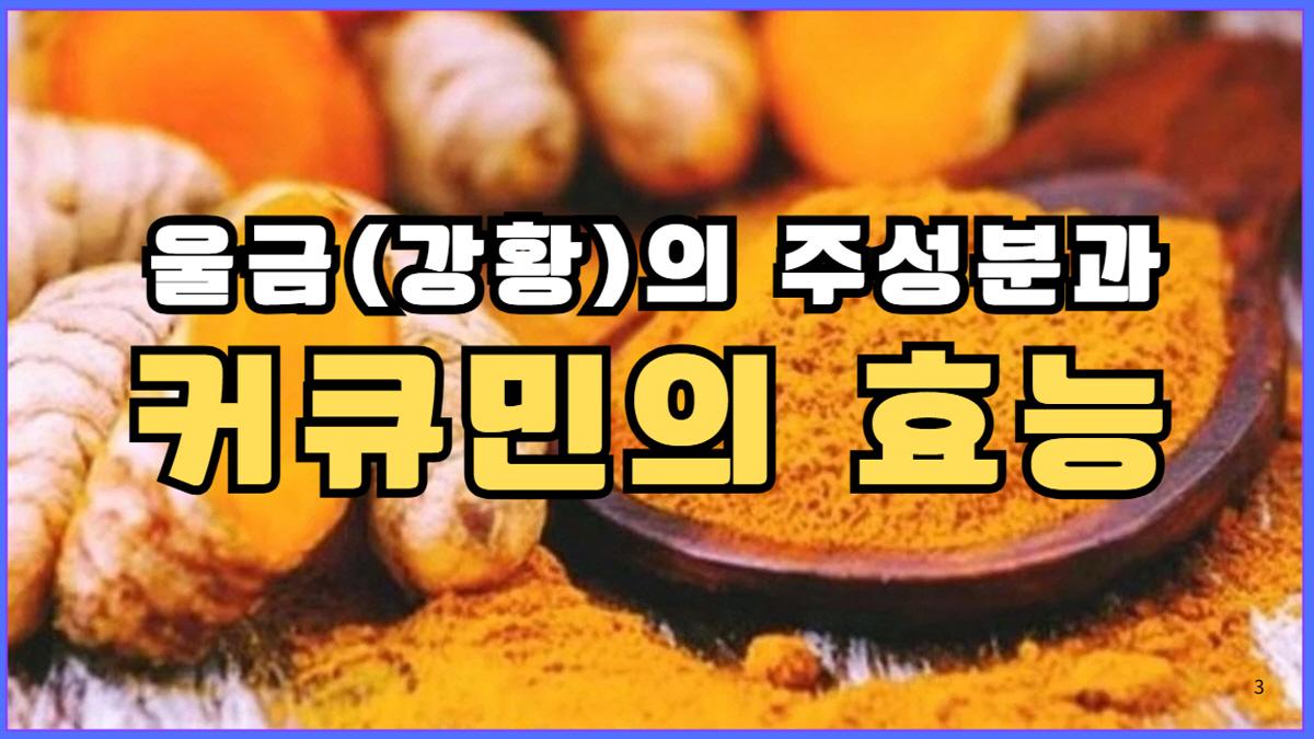 울금 강황의 주성분 커큐민 효능, 항염 항산화에 좋은 천연 식품