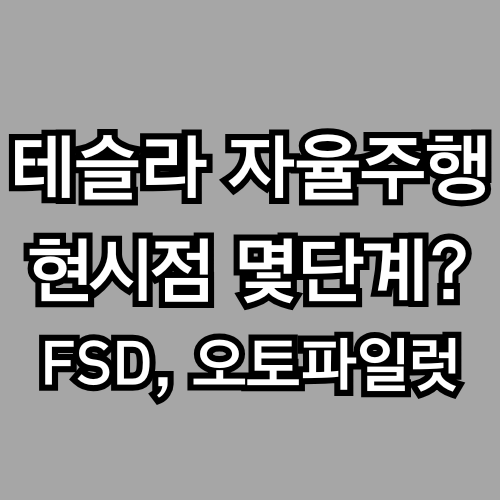 2025년, 테슬라 자율주행은 어디까지 왔을까? (FSD, 오토파일럿)