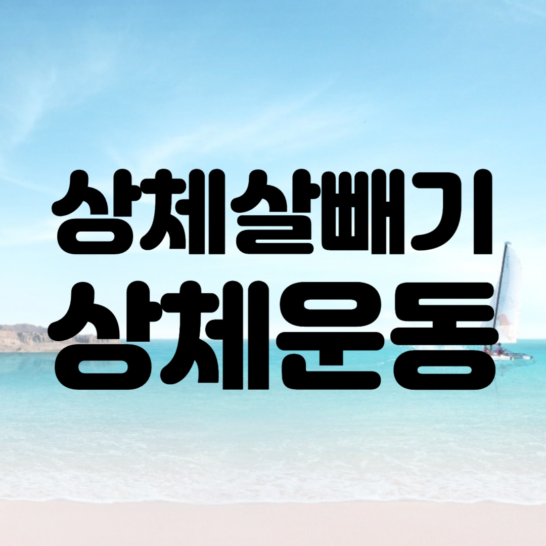 상체운동