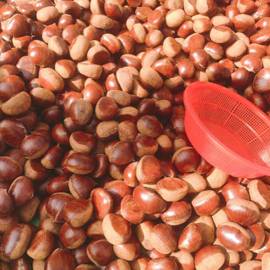 에어프라이어 밤굽기 군밤 만들기 핵심 과정5