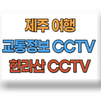 제주 교통정보 CCTV