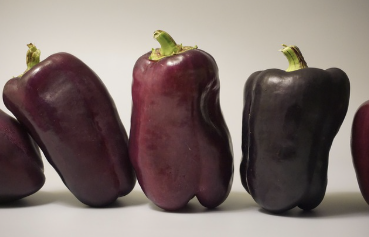 간 건강을 지키는 생활 습관