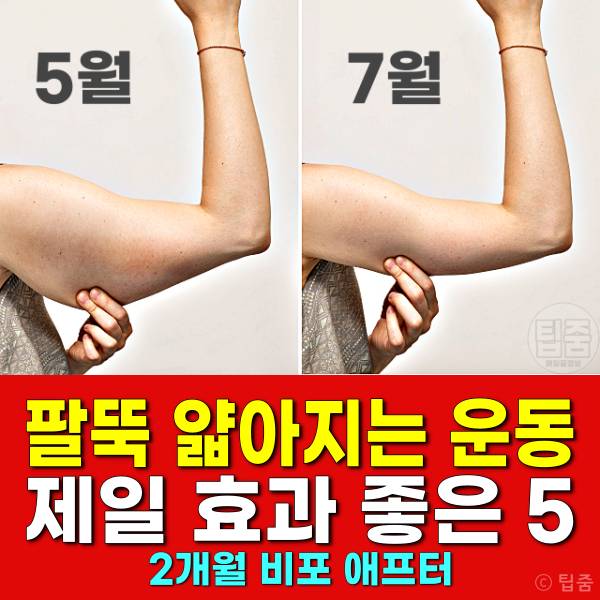 팔뚝 얇아지는 운동 팔뚝살빼기 2개월 비포애프터