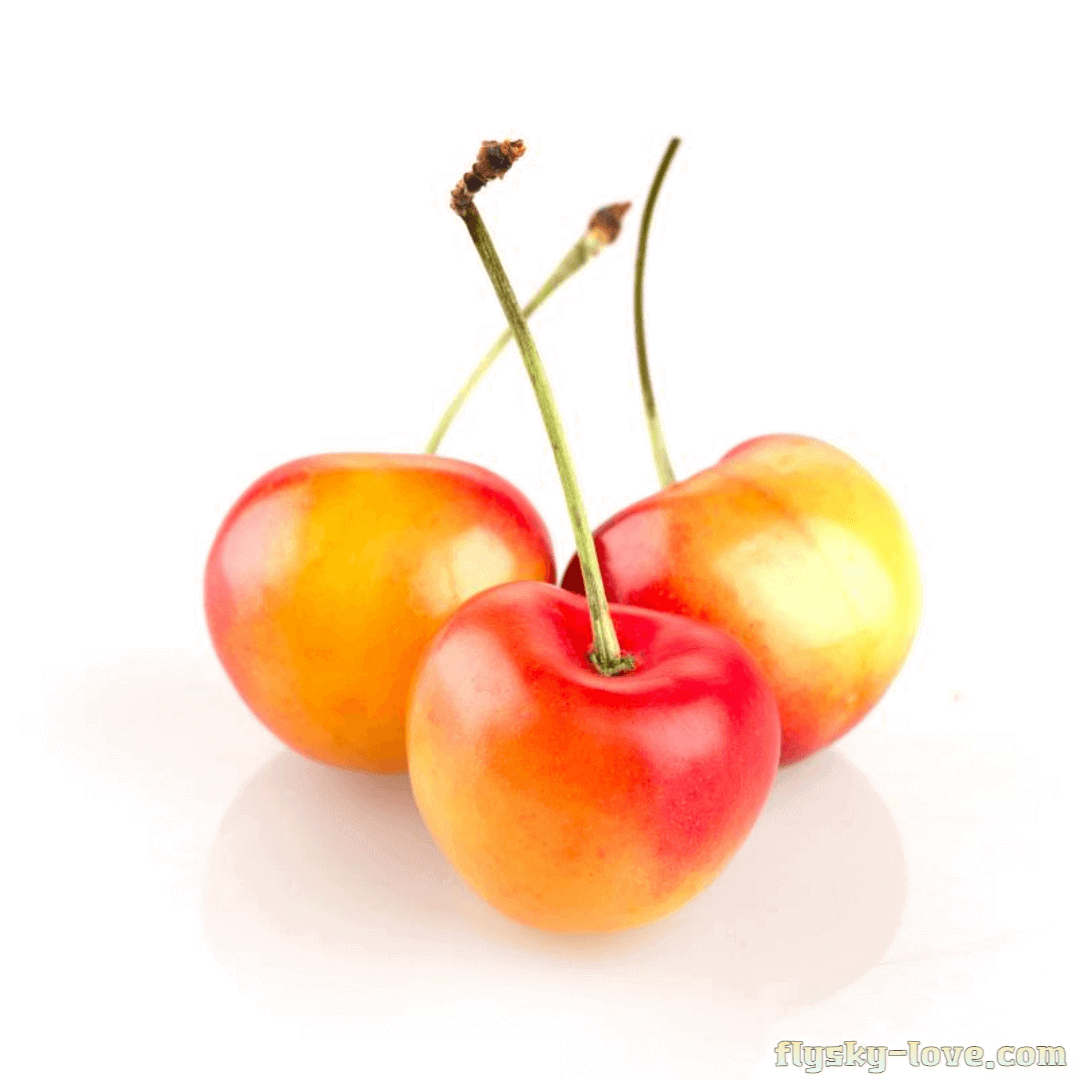 레이니어 체리 활용법