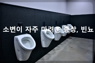 소변이 자주 마려운 증상
