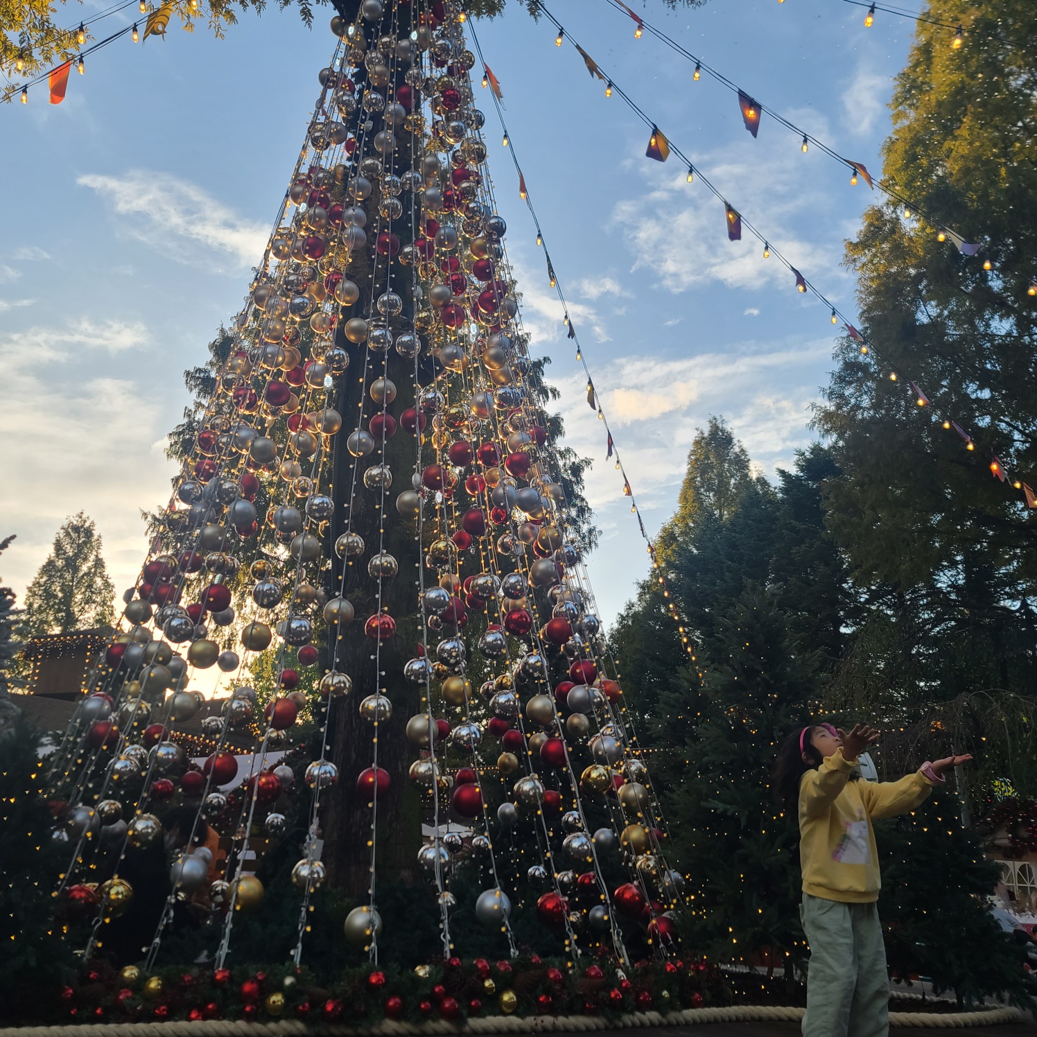 서울랜드 광장의 대형트리