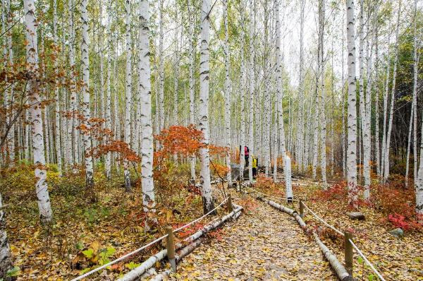 겨울 여행지 베스트 10