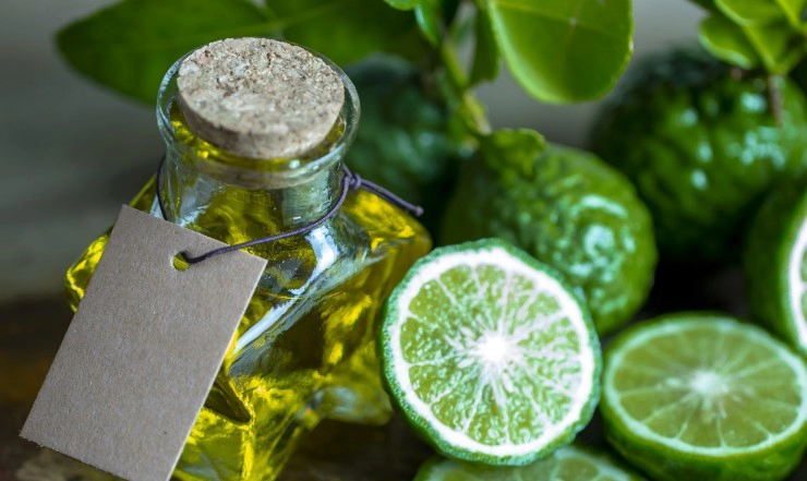 베르가못 오일 효능 15가지 및 베르가못 오일 향 사용법 정리