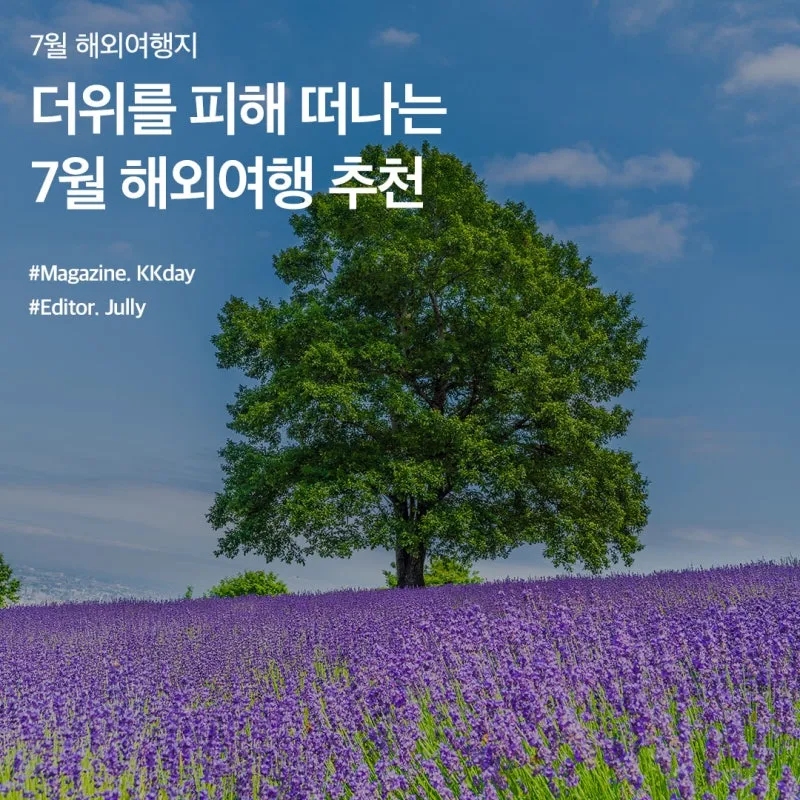 7월 국내 가족여행지 추천 베스트 코스 완벽 가이드_3
