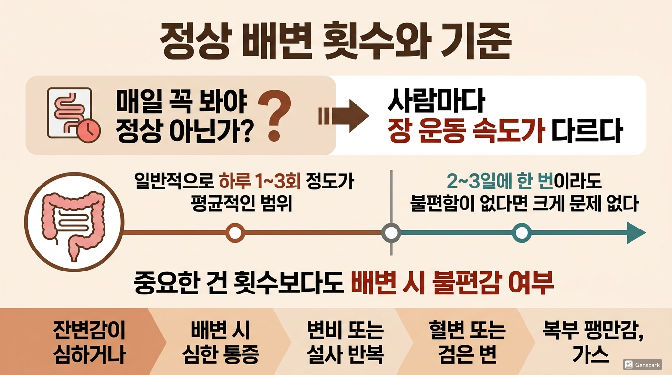 정상 배변 횟수와 기준