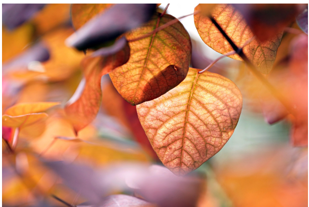 계절의 변화가 새기는 시간의 흔적