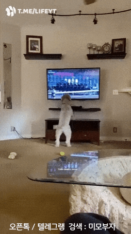 12월 6일 수 신문스크랩