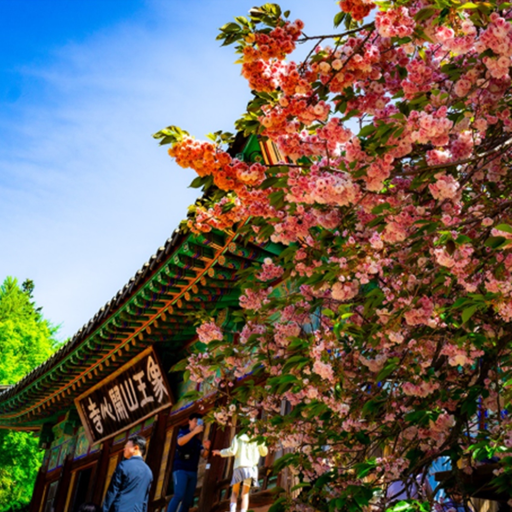 개심사