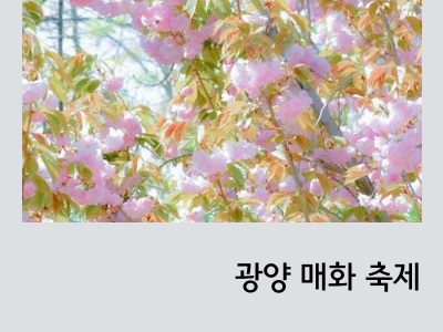 매화