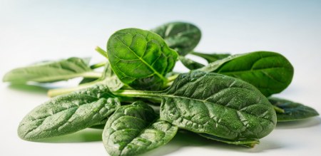 췌장에 좋은 음식