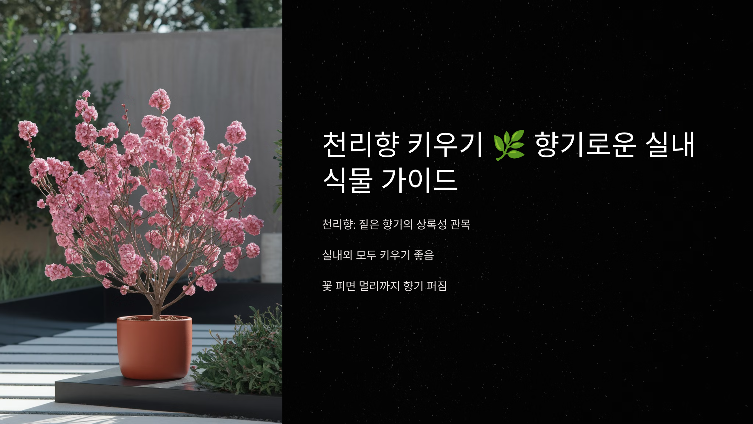 천리향 키우기 🌿 향기로운 실내 식물 가이드