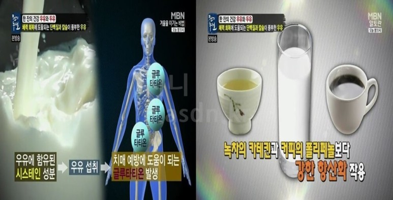 회춘하고 싶다면 마늘우유 만들어 먹어요 Let's Go