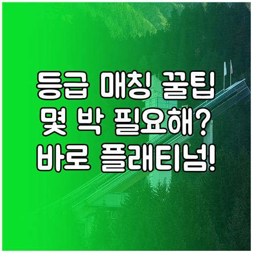 멤버십 등급 매칭 신청 방법과 체인별..