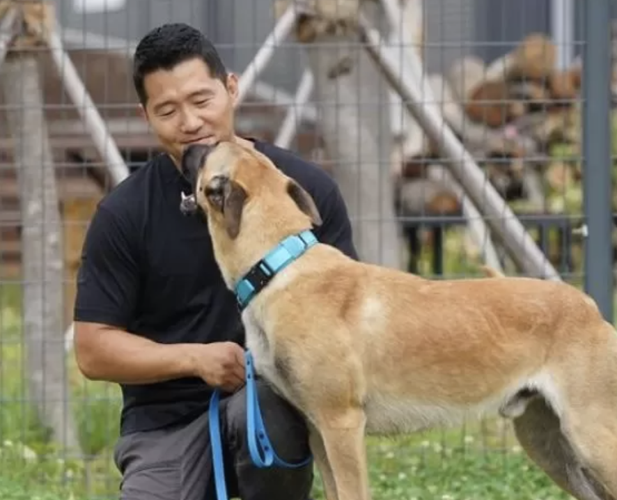 강형욱 강아지 교감