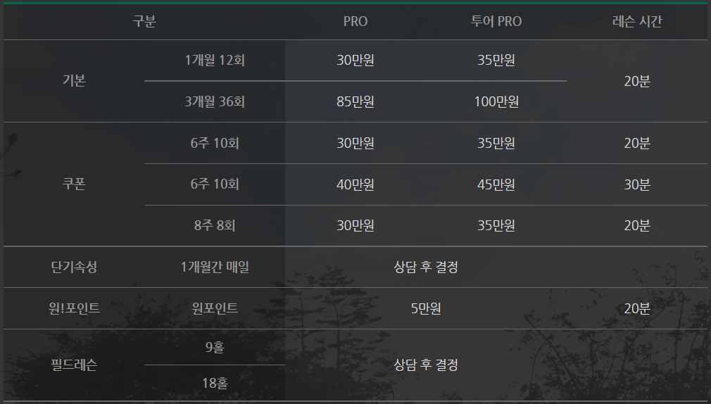 고양 CC 레슨