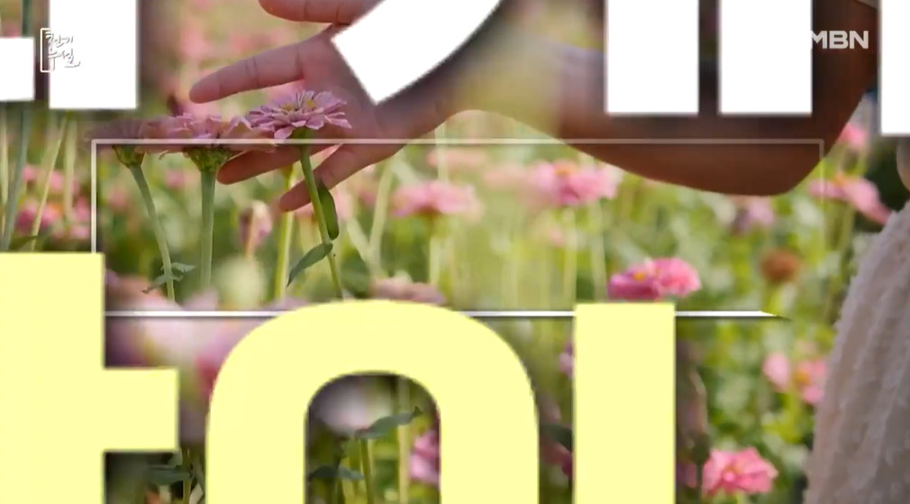 천기누설 기장 멸치 요리