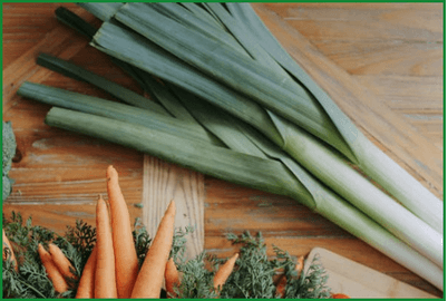  농할상품권 사용처 및 구매 (9월)