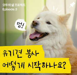 카카오톡 pc 버전 다운로드