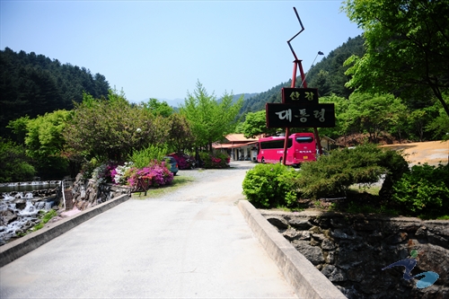 아침고요수목원 수국축제