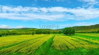 풍경 사진 잘 찍는 방법 꿀팁_3